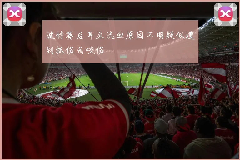 波特赛后耳朵流血原因不明疑似遭到抓伤或咬伤