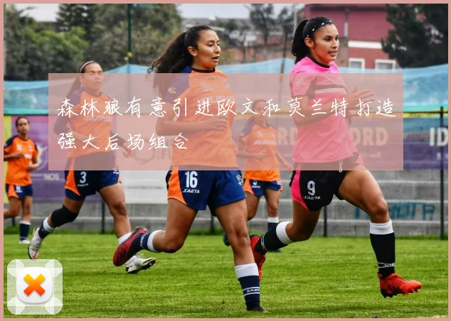 森林狼有意引进欧文和莫兰特打造强大后场组合