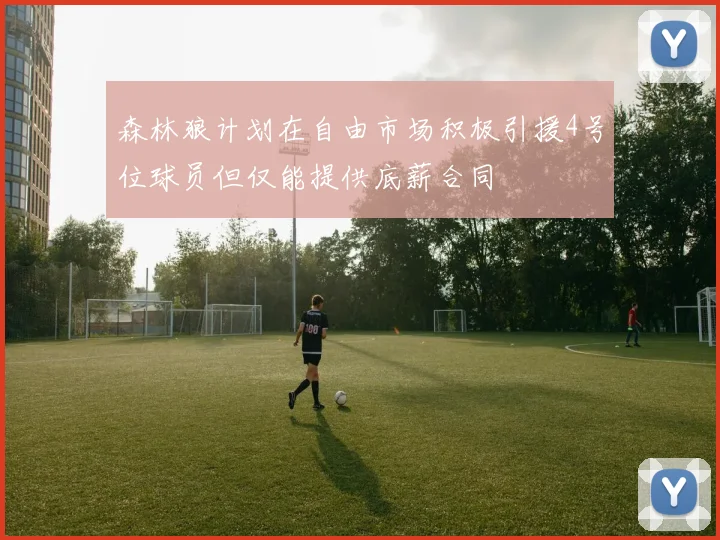 森林狼计划在自由市场积极引援4号位球员但仅能提供底薪合同