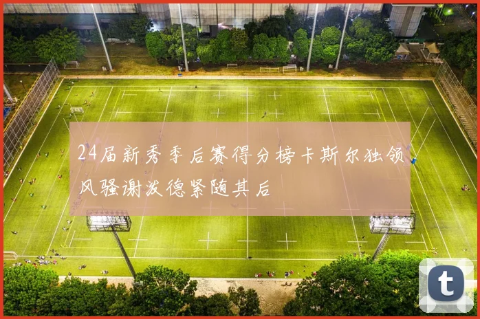 24届新秀季后赛得分榜卡斯尔独领风骚谢泼德紧随其后
